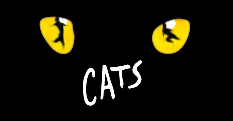 cats-770x400